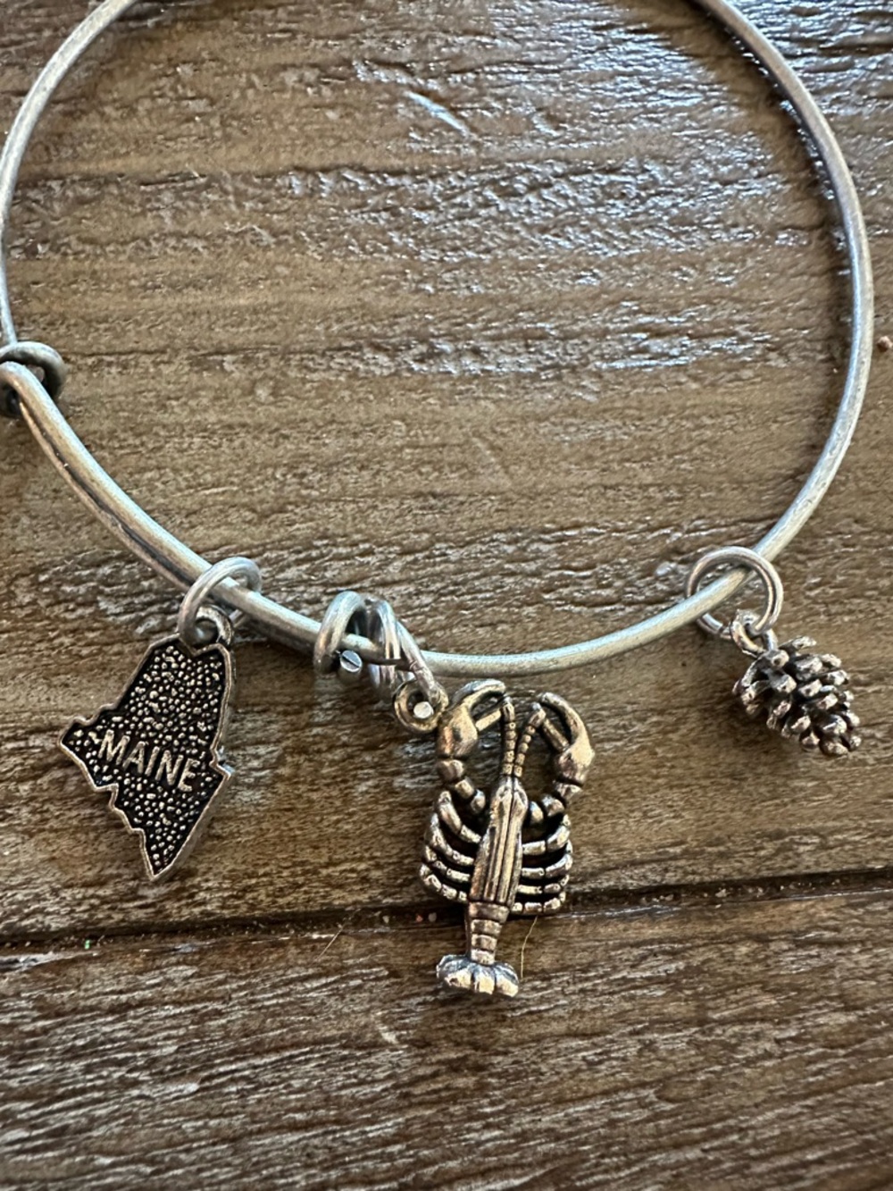 Silver Maine Charm Bangle with Lobster & Pinecone Charms